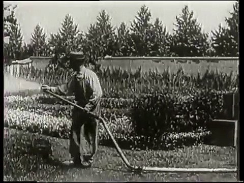 L'arroseur arrosé (1895)