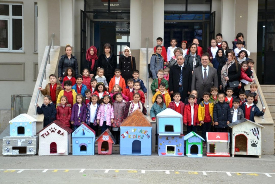 Minik Öğrenciler Sokak Hayvanları İçin Yaptı