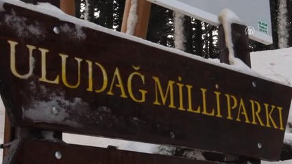 Uludağ'da Hedef 215 Bin Gecelemenin Üzerine Çıkmak