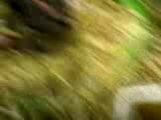 Lili et c bébé trop bo