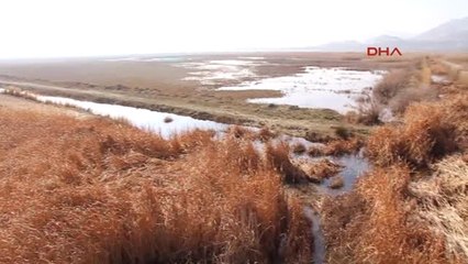 Burdur Soğanlı Sazlığı'na Kuş Gözlem Kulesi