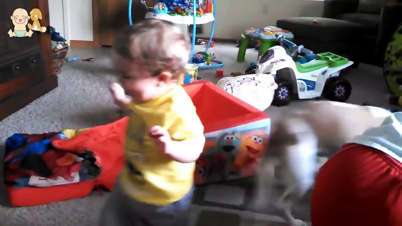 Baby and Beagle dog have funny time - Dogs and Babies are really cute and make us happy