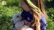 Golden Retriever Puppies and Babies always are best friend - Puppy and baby compilation