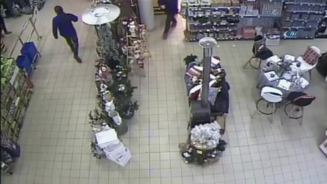 Polonya'da Avm'ye Yaban Domuzu Girdi