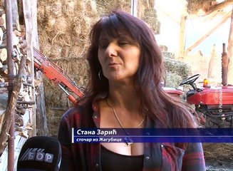 Posle četri decenije porodica Zarić ne vidi perspektivu, 17. decembar 2017 (RTV Bor)