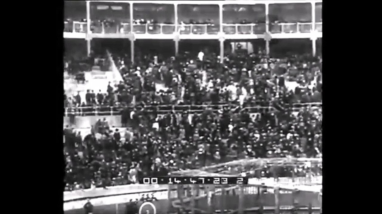 Lion vs Bull - Lion flees