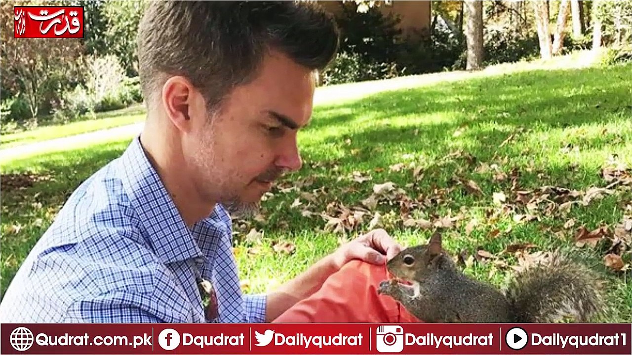 Squirrel from 8 years of Come House
