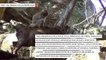 Scientists Capture Bizarre Monkey-Deer 'Sexual Interactions' On Video