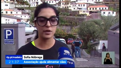 50 Cães Retirados de uma Casa em Câmara de Lobos por Ordem do Tribunal