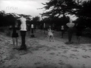 Los Diablos - Un Rayo de Sol