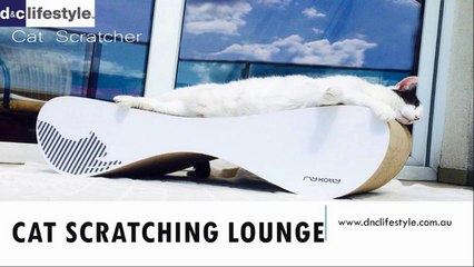 Cat Scratching Lounge -dnclifestyle.com.au