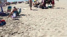 Funny Video: Lifeguard Gets His Ass Kicked By a Horse On The Beach