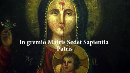 FRASI SULLA POVERTA' : Associazione Madonna dei Debitori