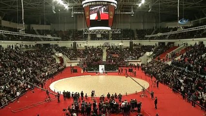 Cumhurbaşkanı Erdoğan, "Biz Bir Olursak Coğrafyamızda Ekilmeye Çalışan Fitne Tohumları Asla Boy...