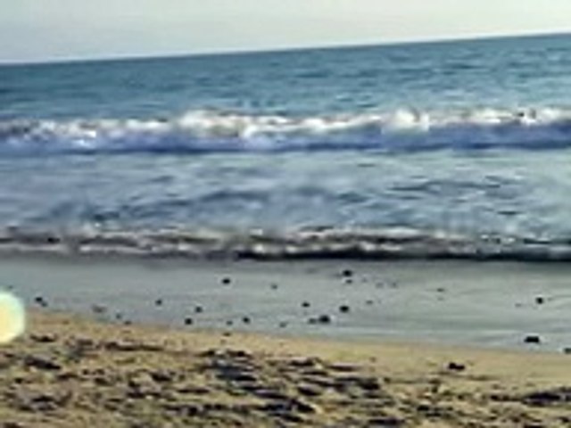 Beautiful short video of beach + waves - YouTube