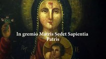 POVERI ASSOLUTI IN ITALIA : Associazione Madonna dei Debitori