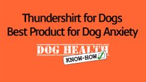 Thundershirt for Dogs - Best Product for Dog Anxiety
