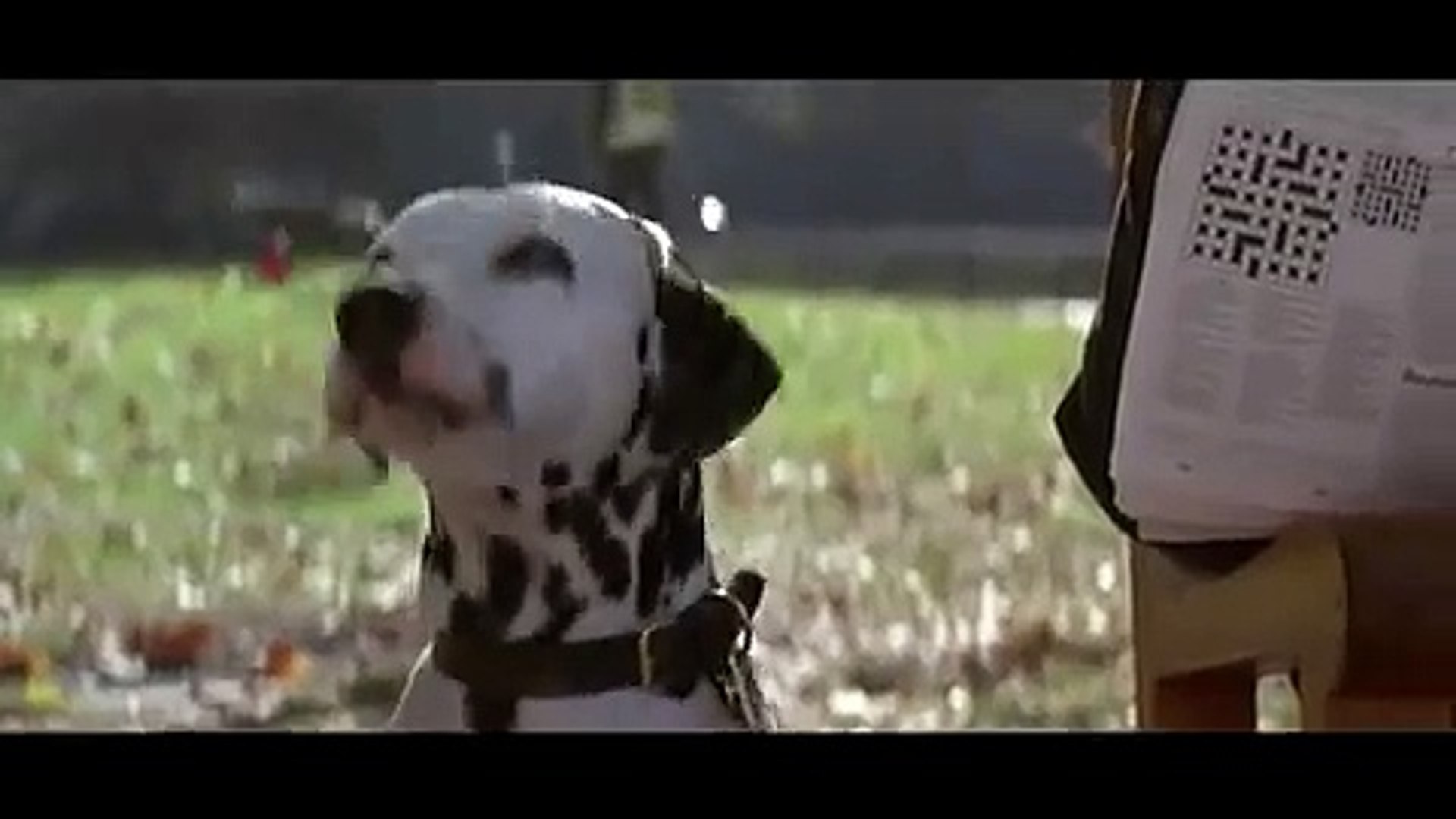 Disneycember - 101 Dalmatians (1996)-NQ3YZK2q9uU - video Dailymotion