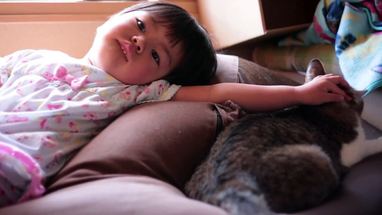 japanese baby cat sing