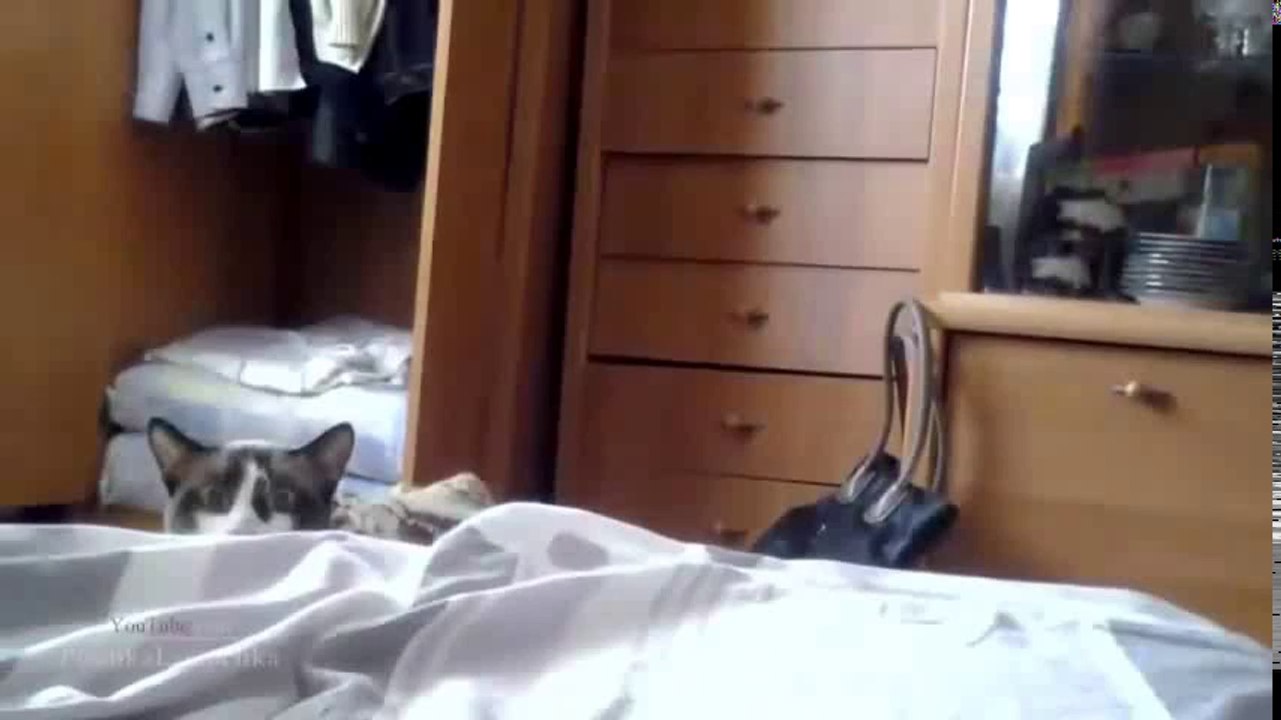 ---WATCH and TRY TO STOP LAUGHING - Super FUNNY VIDEOS compilation - YouTube_2