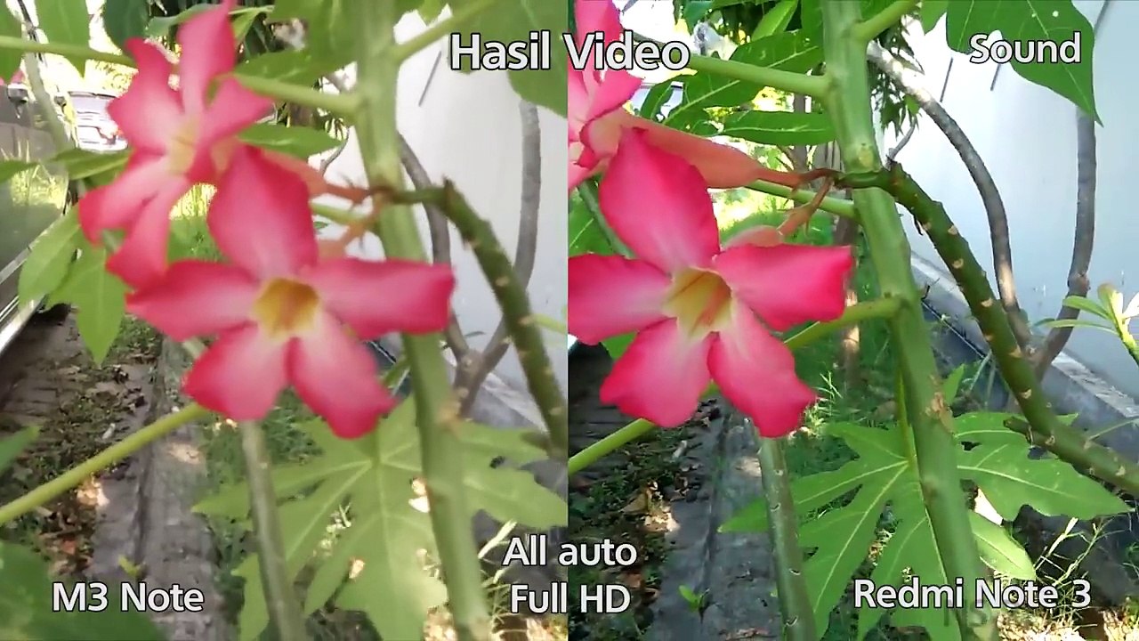 Camera Test - Meizu M3 Note vs Xiaomi Redmi Note 3-P9_eGerhTpg