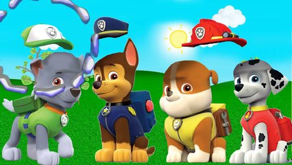 chapeu cabeça paw patrol patrulha canina wrong heads Chase Marshall-aOS3UW3cxaA