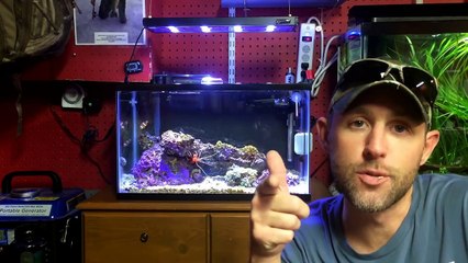 Willy D Aquatics is a Crook-Fdu5IRt6EN8