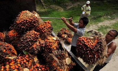 Ekspor Naik 13 Persen, Sayangnya, Impor Juga Naik