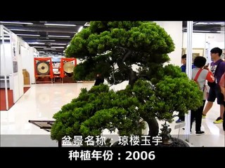 [相玉园盆景.UA BONSAI ART] - Kuala Lumpur Viva Home 2015 #Malaysia Bonsai-ajVAuvxQwjg