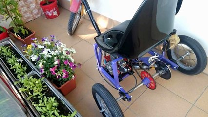 Chainsaw three-wheeler. Engine Go-kart