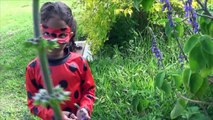 Miraculous Júlia Ladybug luta com dinossauro gigante totoykids-sUnpFyByywA