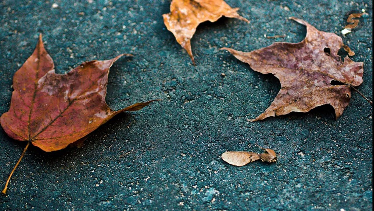 Surface Dressing York
