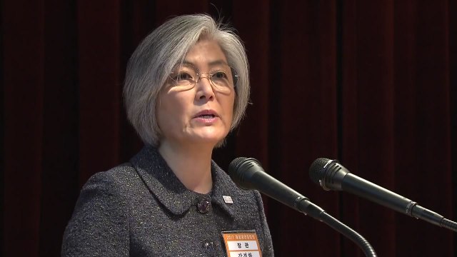 강경화 북핵 평화적 해결, 집요하게 노력할 것 / YTN