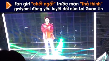 Fan girl "chết ngất" trước màn "thả thính" gwiyomi đáng yêu tuyệt đối của Lai Guan Lin