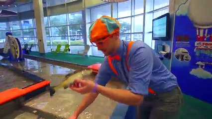 The Pizza Song for Kids and more | Blippi Videos for Toddlers