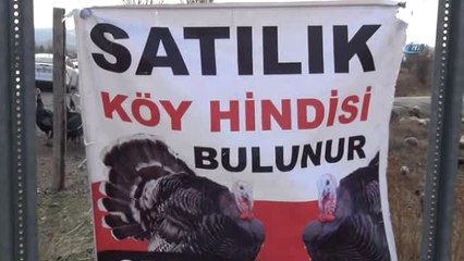 Yılbaşı Hindileri Tezgahtaki Yerini Aldı