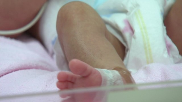 이대목동병원서 숨진 신생아 3명, 세균 감염 의심 / YTN