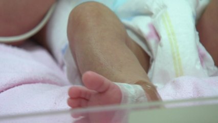 이대목동병원서 숨진 신생아 3명, 세균 감염 의심 / YTN