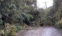 Tropical Storm Kai-Tak Downs Trees and Blocks Roads in Philippines