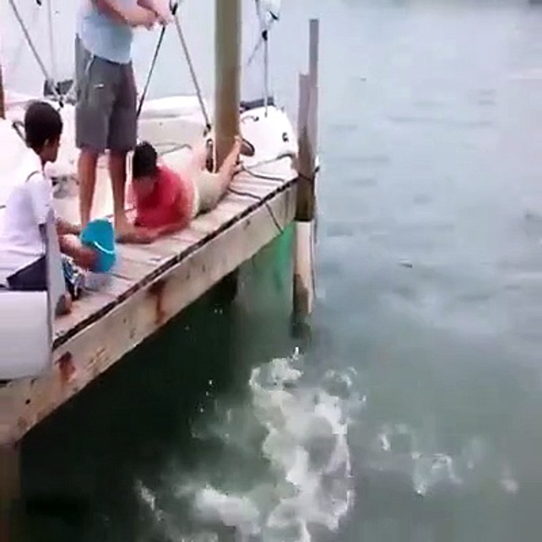 ⁣Fishing failed