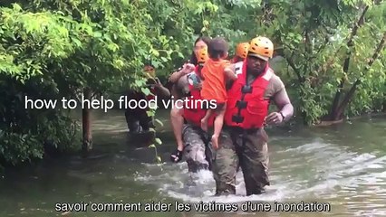 Les recherches Google qui ont marqué l'année 2017