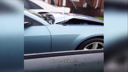 Quand tu fais copain-copain avec un chien de garde... OMG