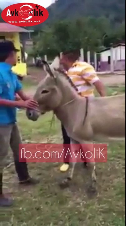 Eşeğe nasıl binilir