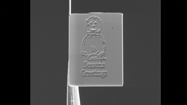 Is this the world's smallest Christmas card?