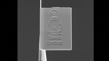 Is this the world's smallest Christmas card?