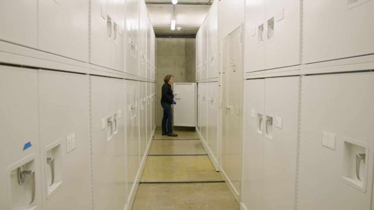 Inside the Room Housing 46 Million Museum Specimen