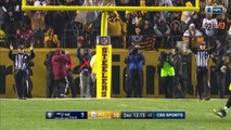Patriots vs. Steelers NFL Week 15 Game Highlights
