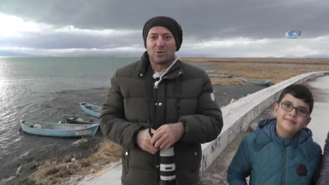 Beyşehir Gölü Milli Parkı'nda Sığırcık Sürülerinin Görsel Şöleni