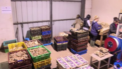 Première mondiale en France: des huîtres parfumées