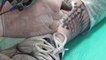 Tatuagem Maori  Jack5 Curitiba PR-5Wts3QVoTNU